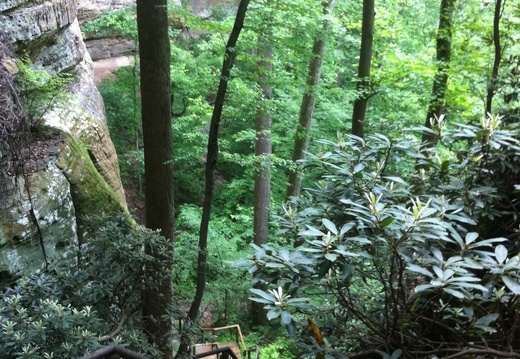 Red River Gorge Thunderstorm - 2